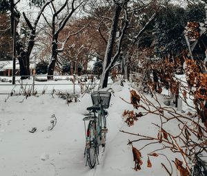 Preview wallpaper bike, trees, snow, winter