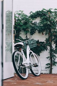 Preview wallpaper bike, white, leaves, plant