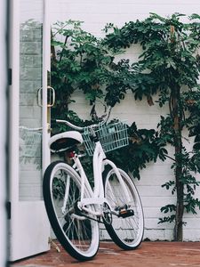 Preview wallpaper bike, white, leaves, plant