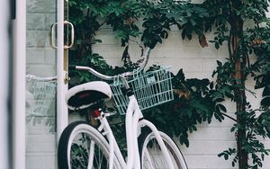 Preview wallpaper bike, white, leaves, plant