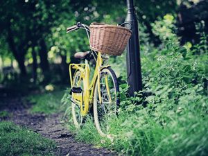 Preview wallpaper biking, nature, shopping, walking