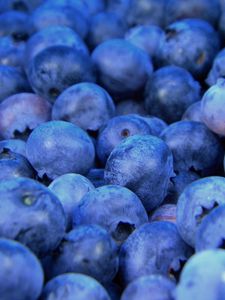 Preview wallpaper bilberry, blueberry, berries