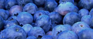 Preview wallpaper bilberry, blueberry, berries
