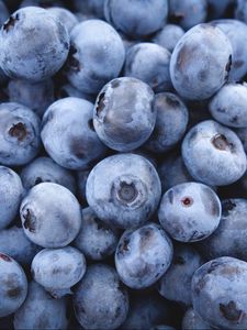 Preview wallpaper bilberry, blueberry, berries