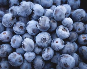 Preview wallpaper bilberry, blueberry, berries