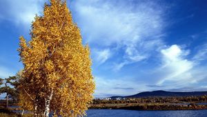 Preview wallpaper birch, coast, autumn, leaves, river, water, siberia