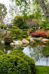 Preview wallpaper birch, garden, pond, trees, green, tourists