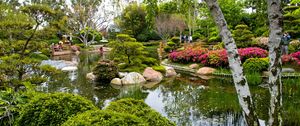 Preview wallpaper birch, garden, pond, trees, green, tourists