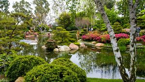 Preview wallpaper birch, garden, pond, trees, green, tourists