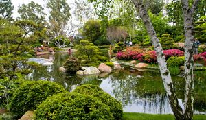 Preview wallpaper birch, garden, pond, trees, green, tourists