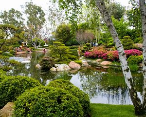 Preview wallpaper birch, garden, pond, trees, green, tourists