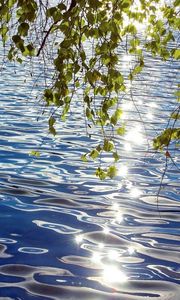 Preview wallpaper birch, leaves, water, ripples, patches of light, siberia