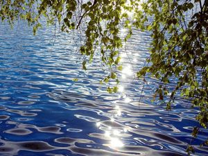 Preview wallpaper birch, leaves, water, ripples, patches of light, siberia