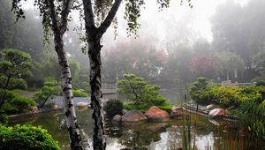 Preview wallpaper birch, pond, haze, vegetation, garden