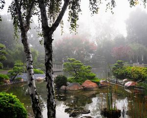 Preview wallpaper birch, pond, haze, vegetation, garden