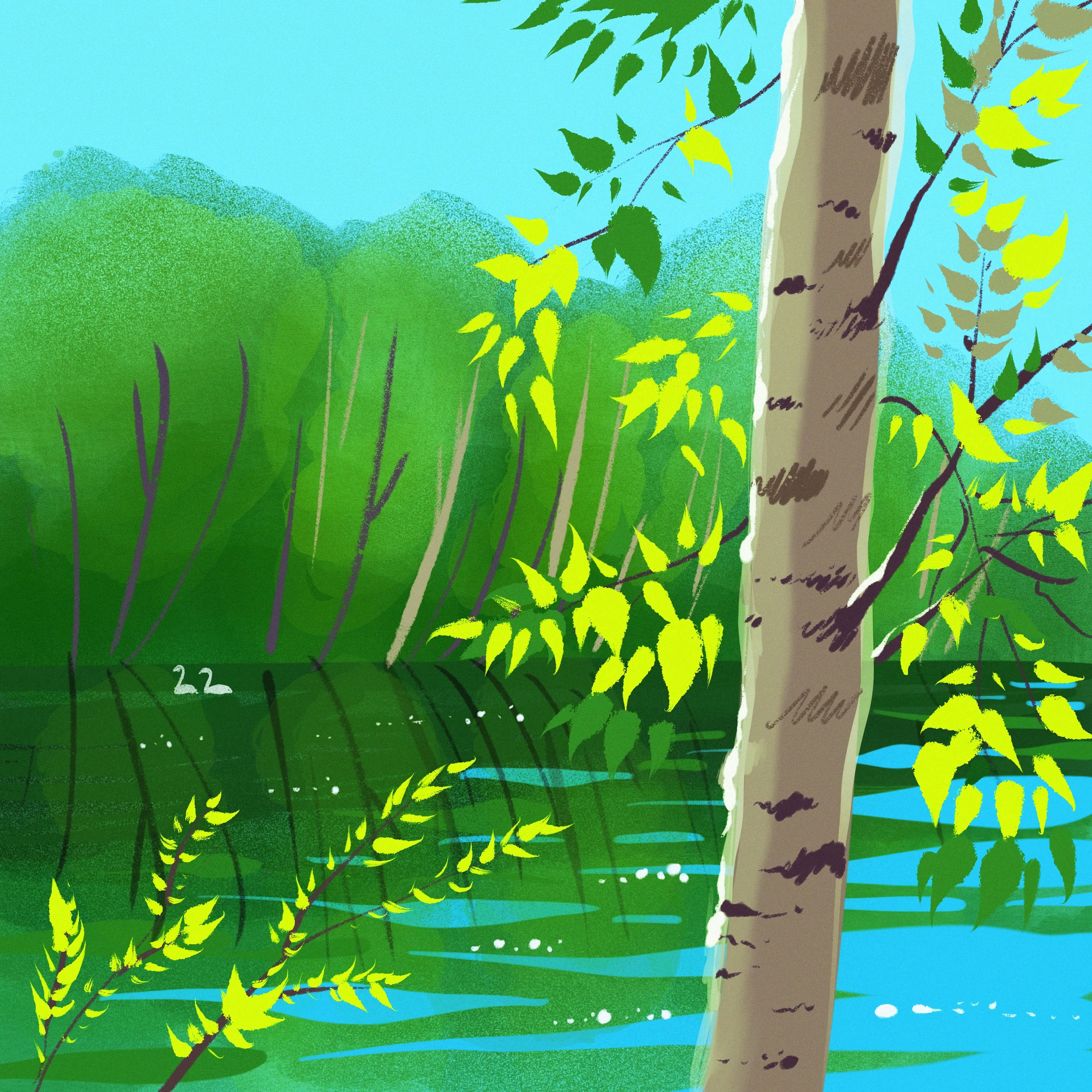 Download wallpaper 3840x3840 birch, tree, branches, art hd background