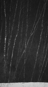 Preview wallpaper birch, trees, forest, winter, snow