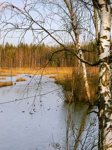 Preview wallpaper birches, autumn, river, landscape