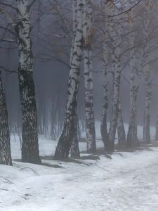 Preview wallpaper birches, fog, snow