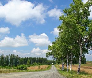 Preview wallpaper birches, road, country