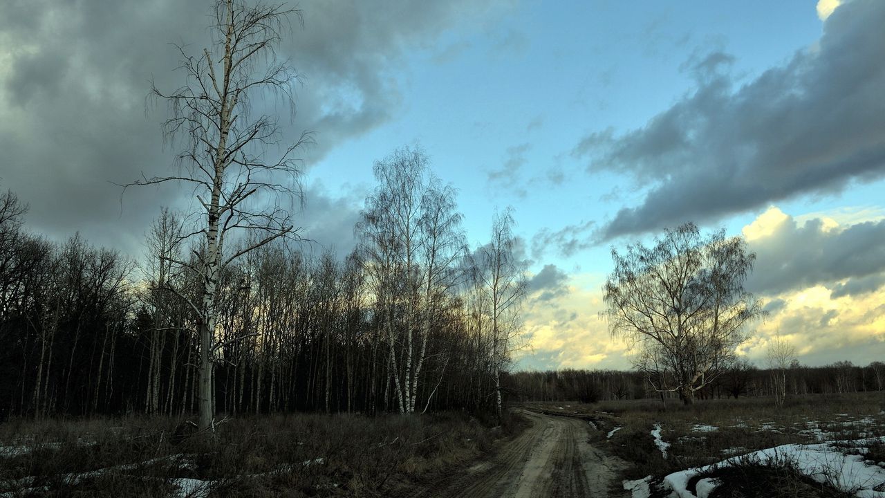 Wallpaper birches, spring, road, snow, gray, evening hd, picture, image
