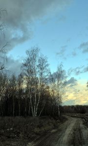 Preview wallpaper birches, spring, road, snow, gray, evening