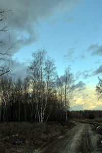 Preview wallpaper birches, spring, road, snow, gray, evening