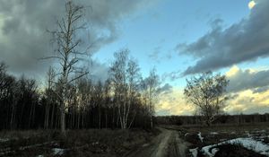 Preview wallpaper birches, spring, road, snow, gray, evening