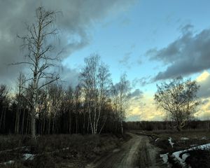 Preview wallpaper birches, spring, road, snow, gray, evening