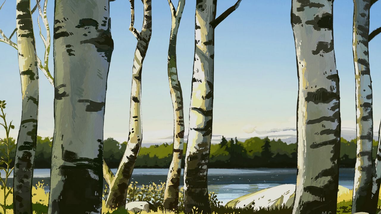 Wallpaper birches, trees, art