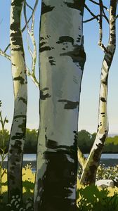 Preview wallpaper birches, trees, art