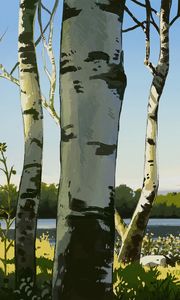 Preview wallpaper birches, trees, art