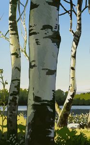 Preview wallpaper birches, trees, art