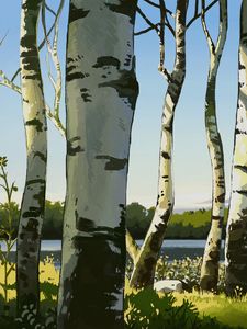 Preview wallpaper birches, trees, art