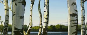 Preview wallpaper birches, trees, art
