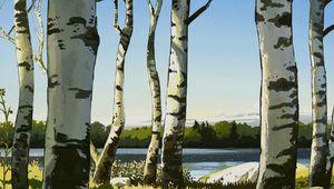 Preview wallpaper birches, trees, art