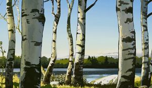 Preview wallpaper birches, trees, art