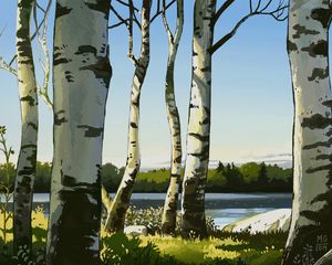 Preview wallpaper birches, trees, art