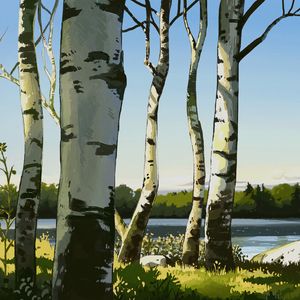 Preview wallpaper birches, trees, art