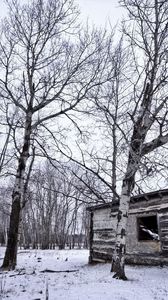 Preview wallpaper birches, winter, snow, structure, grove