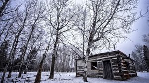 Preview wallpaper birches, winter, snow, structure, grove