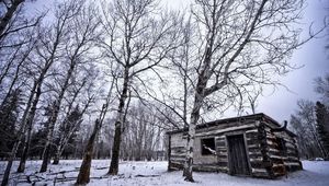 Preview wallpaper birches, winter, snow, structure, grove