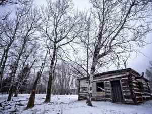 Preview wallpaper birches, winter, snow, structure, grove