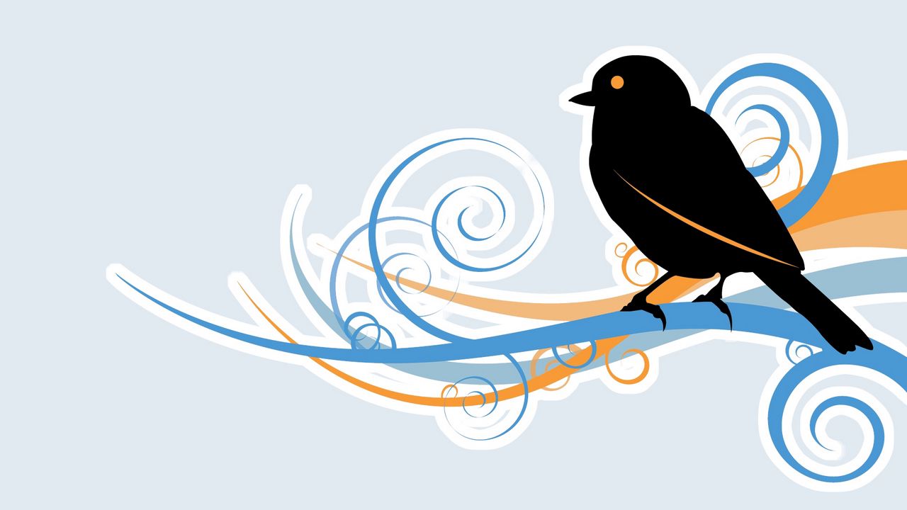 Wallpaper bird, beak, black, branch