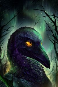 Preview wallpaper bird, black, northern lights, sparks, art