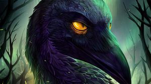 Preview wallpaper bird, black, northern lights, sparks, art