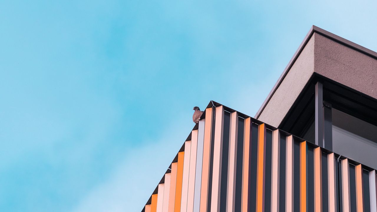 Wallpaper bird, building, architecture, sky, minimalism