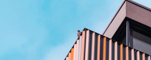 Preview wallpaper bird, building, architecture, sky, minimalism