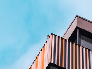 Preview wallpaper bird, building, architecture, sky, minimalism