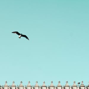 Preview wallpaper bird, building, sky, minimalism